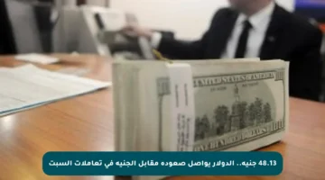 48.13 جنيه.. الدولار يواصل صعوده مقابل الجنيه في تعاملات السبت